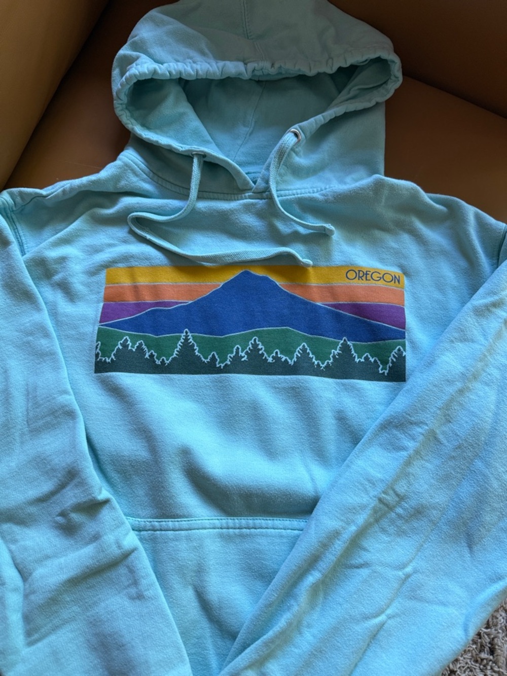 Oregon Graphic Hoodie - Light Blue Pullover Sweatshirt